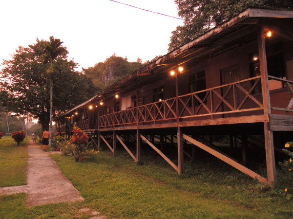 18_1_mulunationalpark_borneo