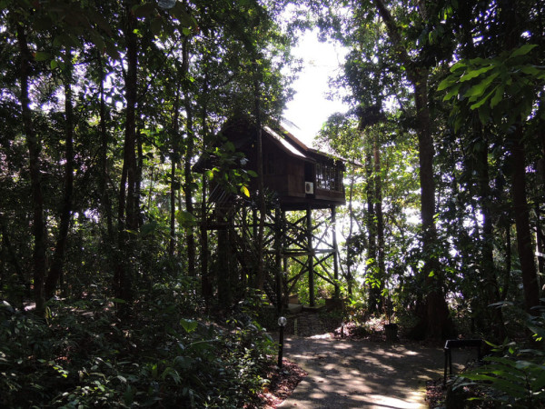 7_kuching_santubong_borneo