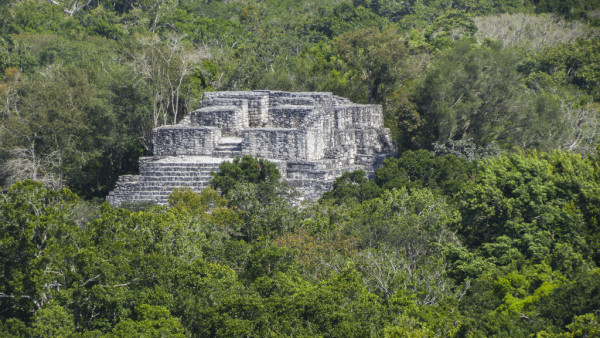 Calakmul_Mexiko