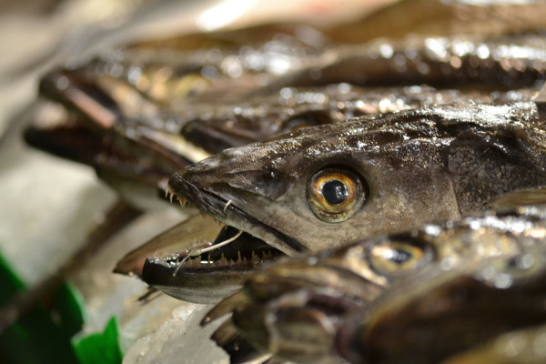 La Boqueria_Barcelona_27