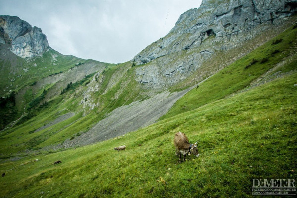 Mount Pilatus_Pilatusbahn_Svajc_07