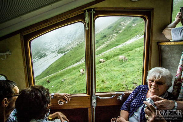 Mount Pilatus_Pilatusbahn_Svajc_14