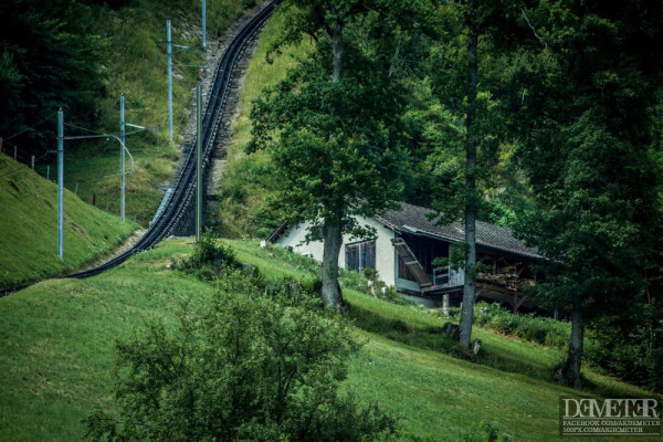 Mount Pilatus_Pilatusbahn_Svajc_18
