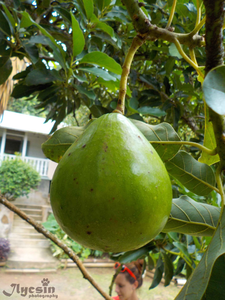 mahe_seychelle_szigetek_06