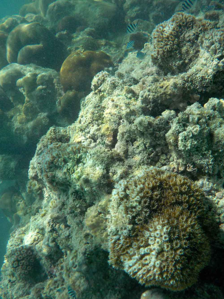 mahe_seychelle_szigetek_14