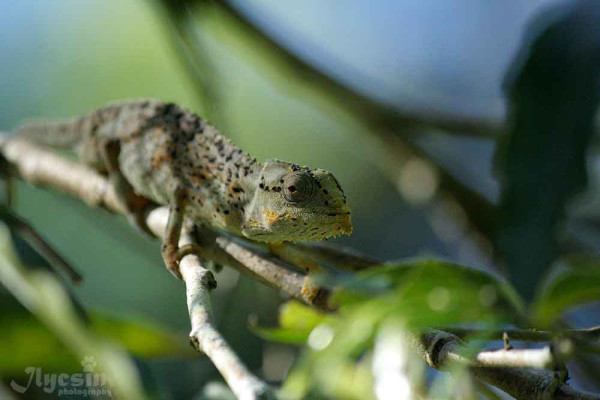 mahe_seychelle_szigetek_19