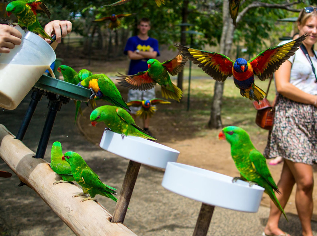 Brisbane_Ausztralia_02