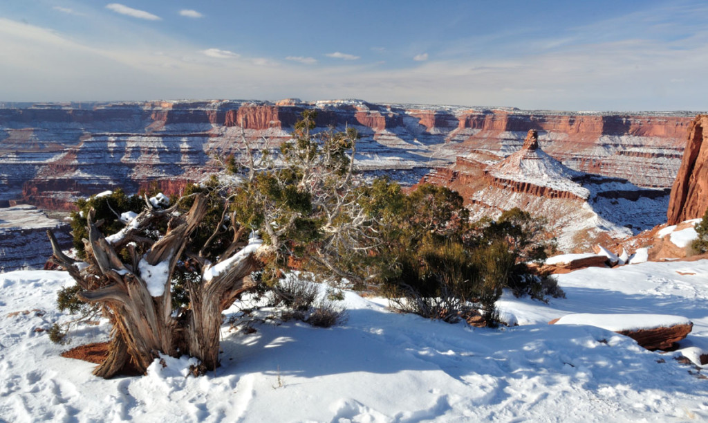 Canyonlands Nemzeti Park_USA_05