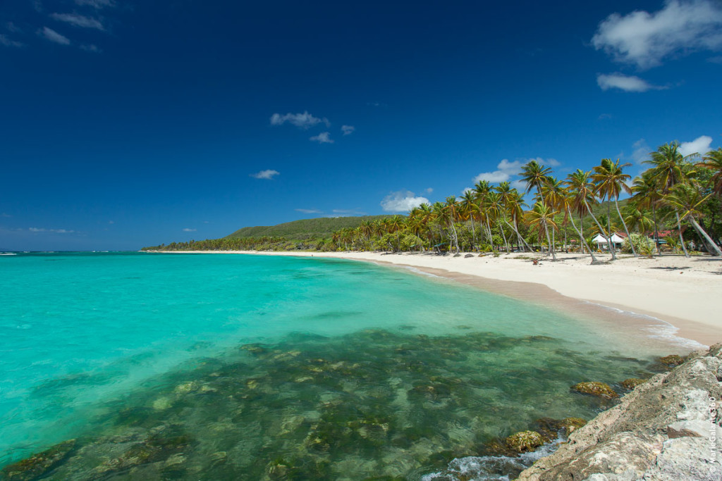 guadeloupe_mariegalante_plage_lafeuillere-3
