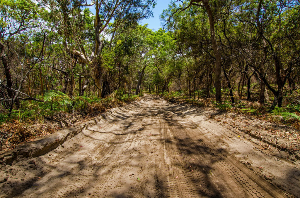 Fraser_sziget_Ausztralia_29