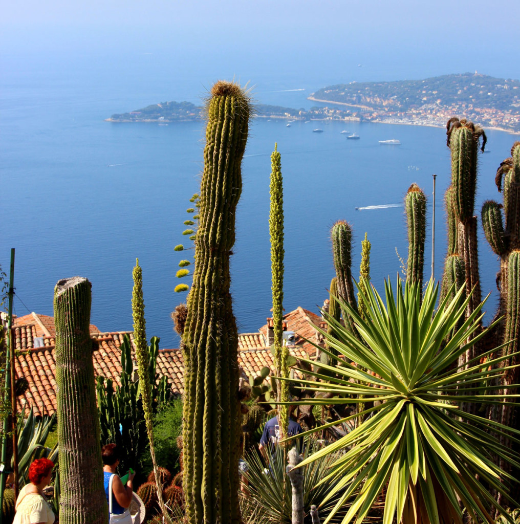 Provence_Eze_01