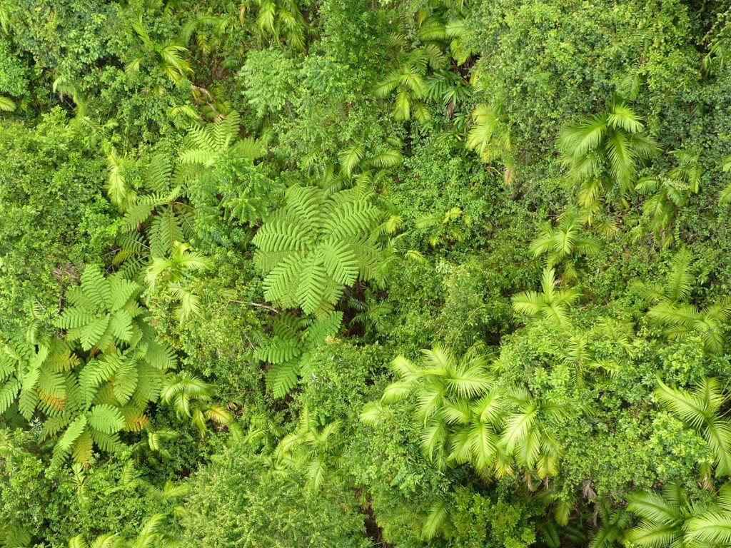 Cairns_Ausztralia_02