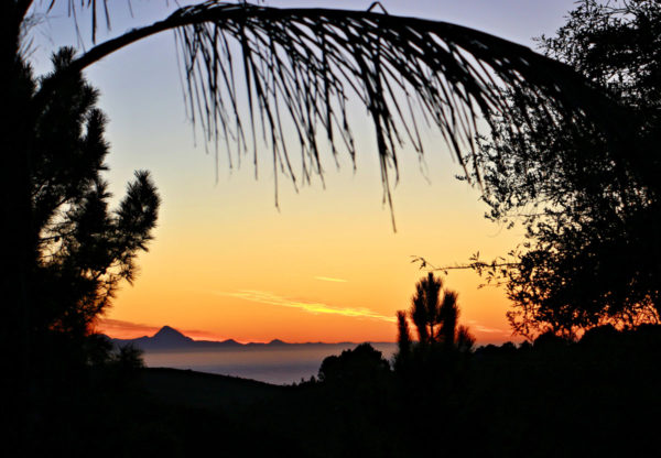 Del-Afrika_Plattenberg Bay_12