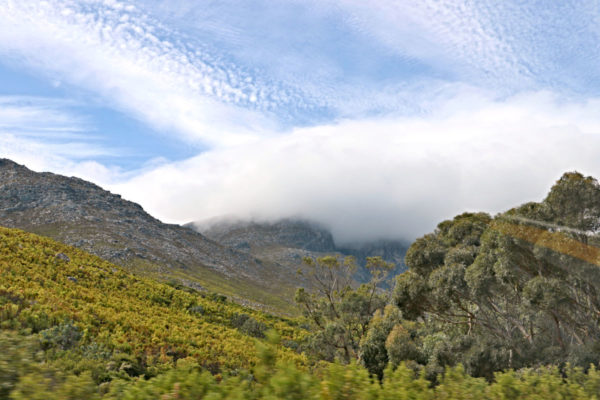 Del-Afrika_Tsitsikamma Nemzeti Park_15