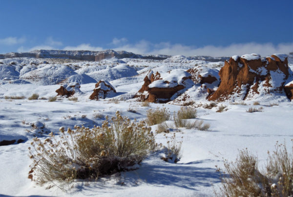 Goblin Valley_08