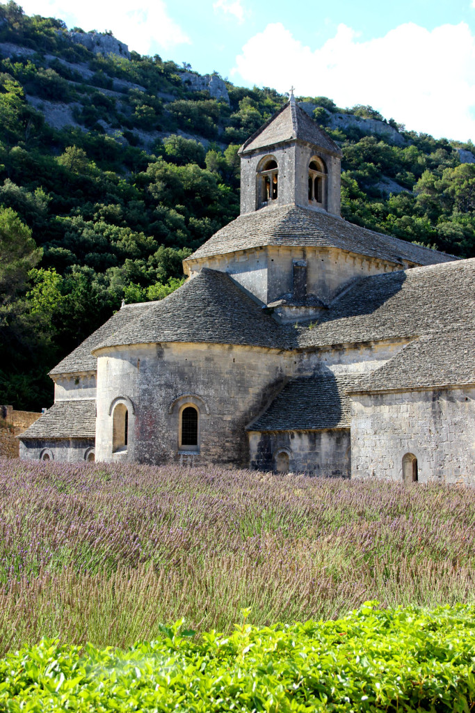 Senanque_Provence_01