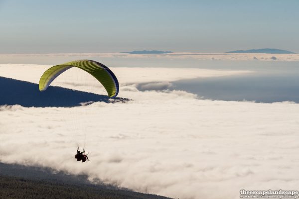 Tenerife_Kanari-szigetek_29