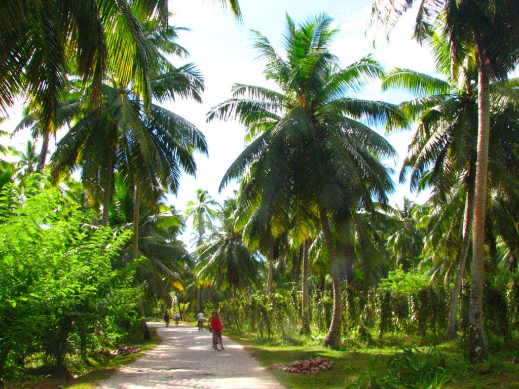 la digue_seychelle_szigetek_07