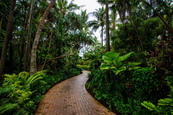 Daydream sziget setanya_Ausztralia