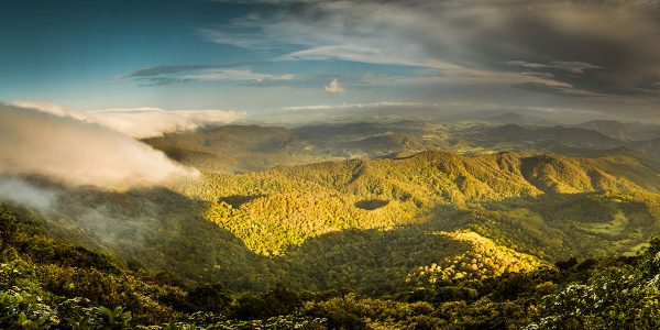 Springbrook-Best-of-All-Lookout-3-Panorama