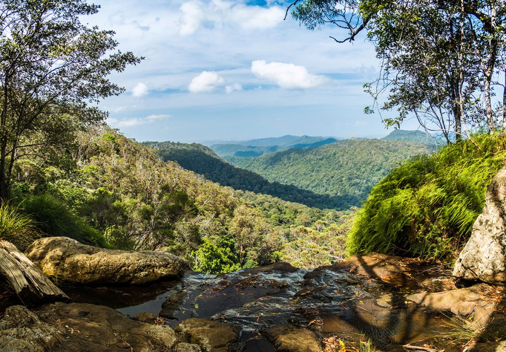 Springbrook-Top-of-a-Waterfall-Panorama
