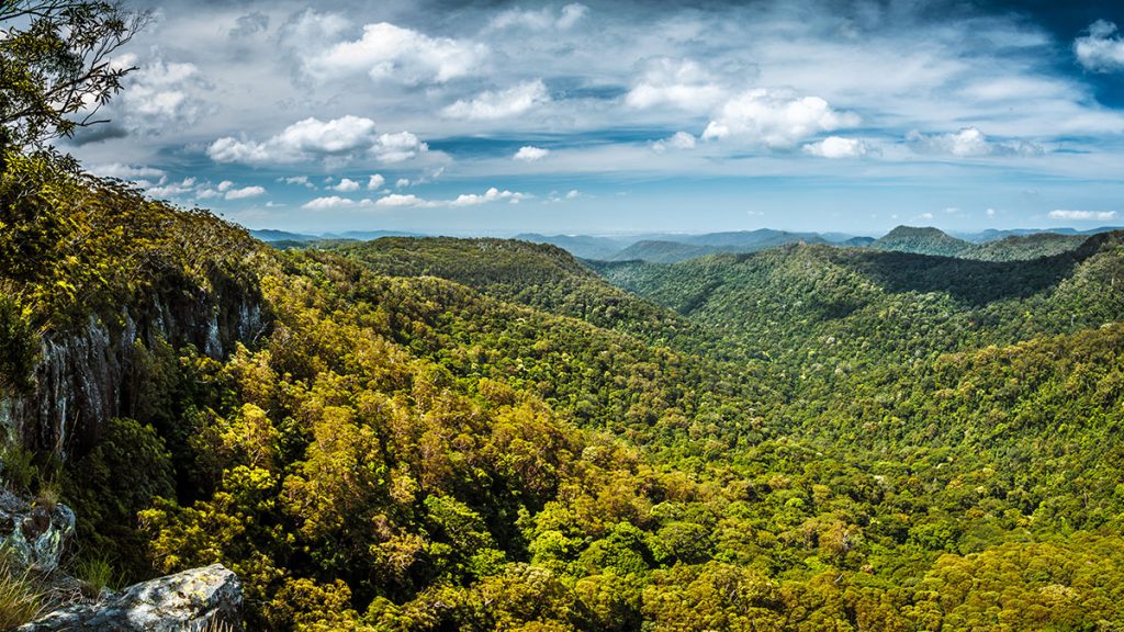 Springbrook-national-Park