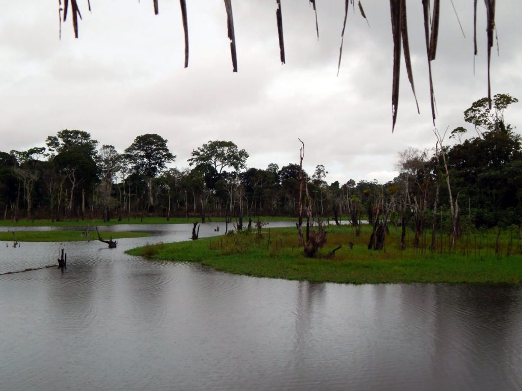 Manaus_Amazonas_Brazilia_17