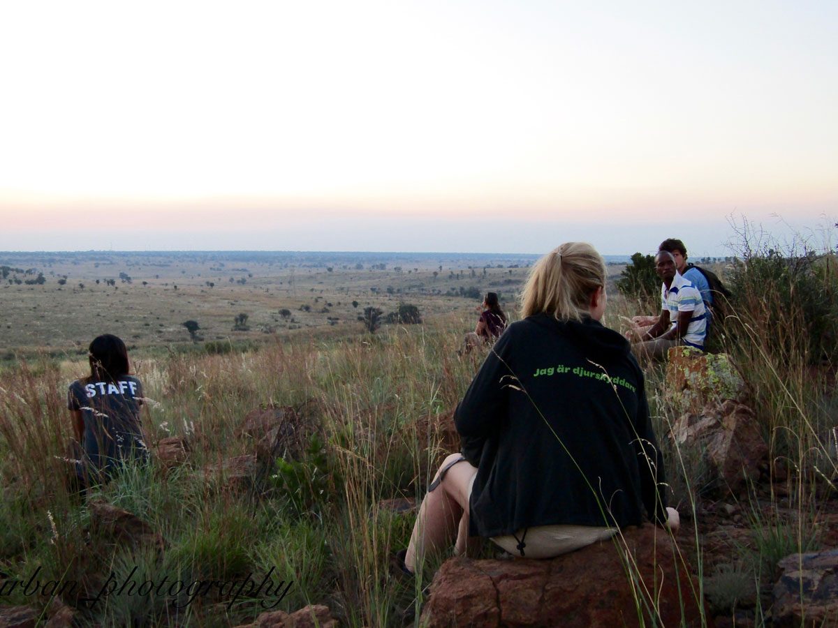kevin richardsons wildlife sanctuary_del afrika_04