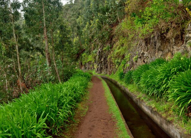 madeira_portugalia_05
