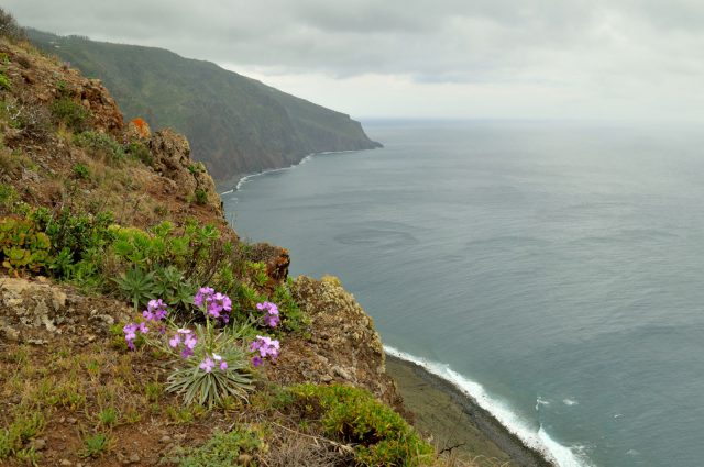 madeira_portugalia_09
