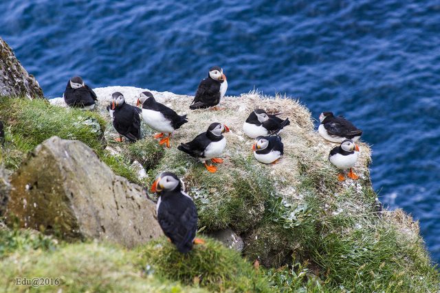 lunda2_feroer-szigetek