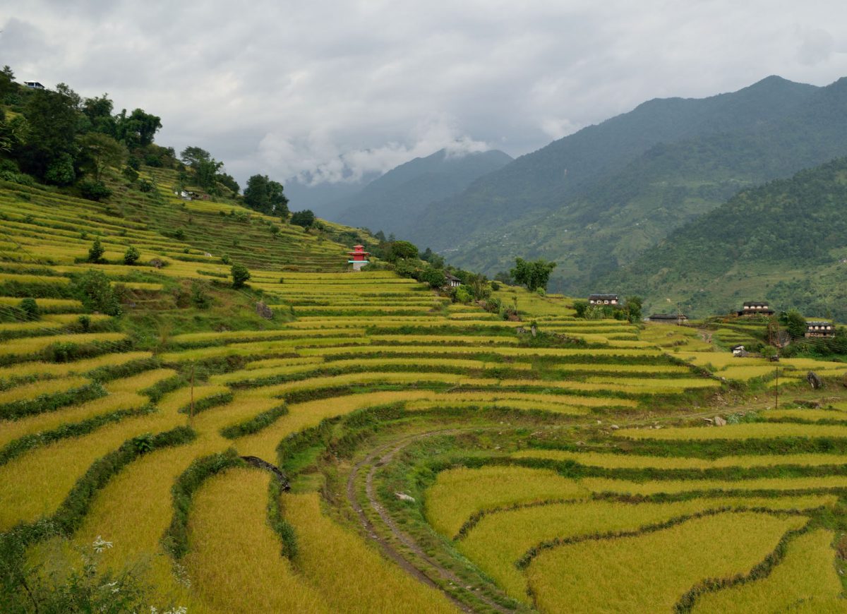 nepal_annapurna-tura_08