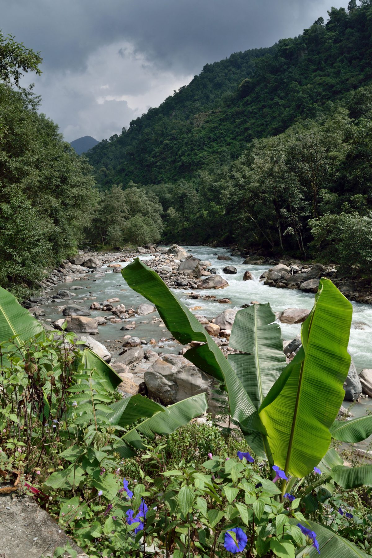 nepal_annapurna-tura_09