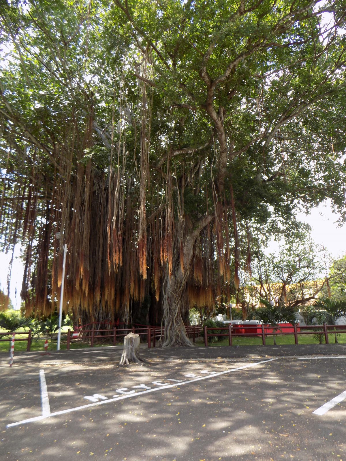 mauritius_12