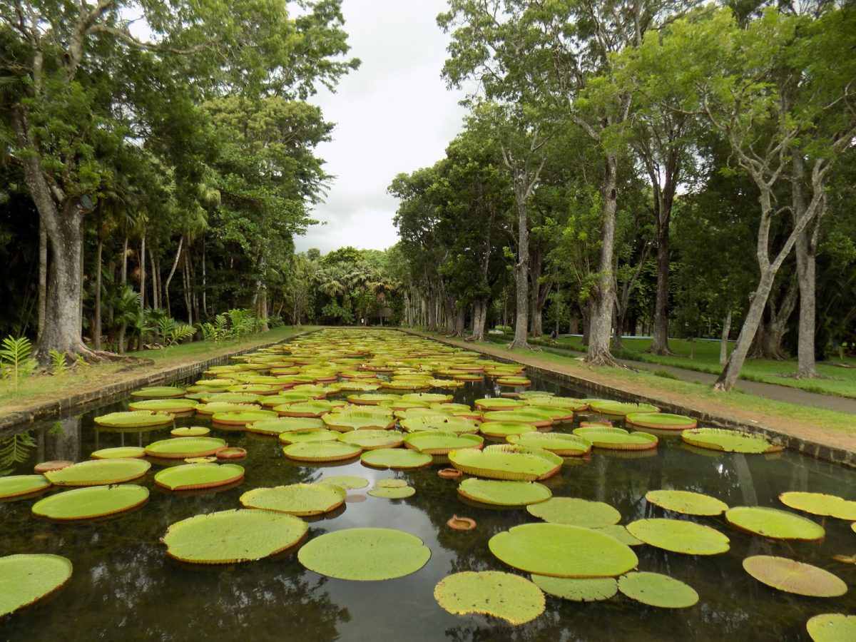 mauritius_17