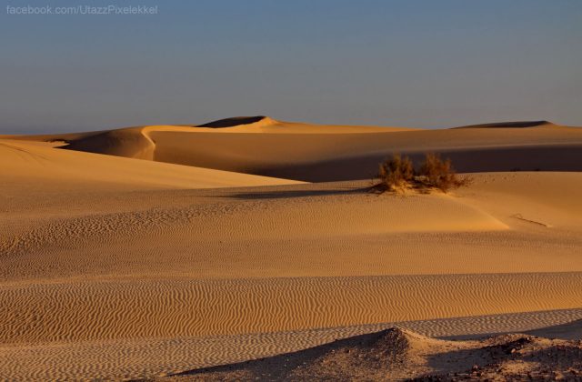 oman_wahiba-sivatag_08