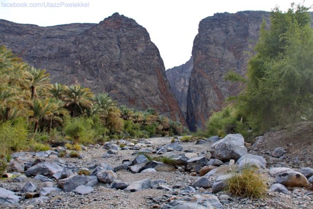 oman_wadi_06