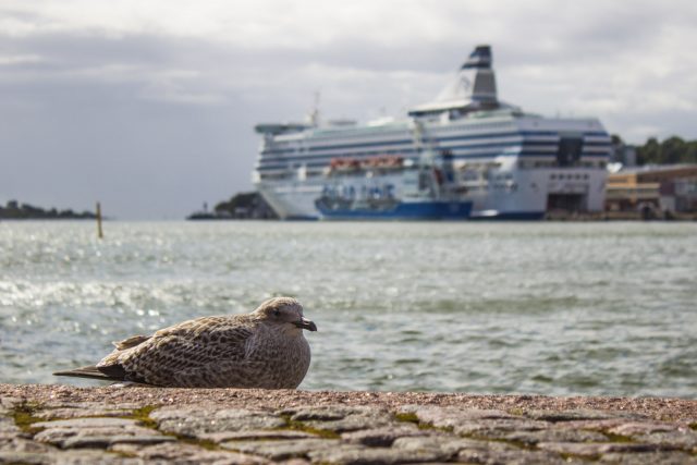 helsinki_finnorszag_04