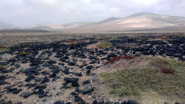 los_molinos_fuerteventura_02