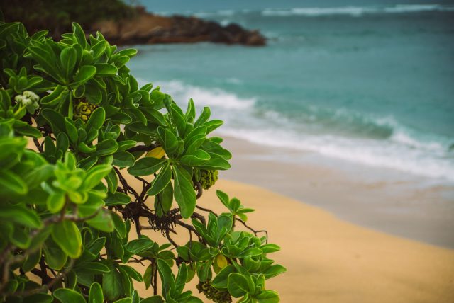 maui_hawaii_02