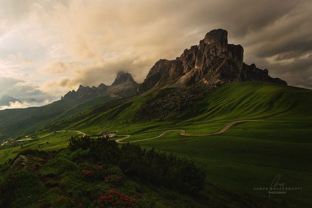 passo_digiau_2_gaborboszormenyi