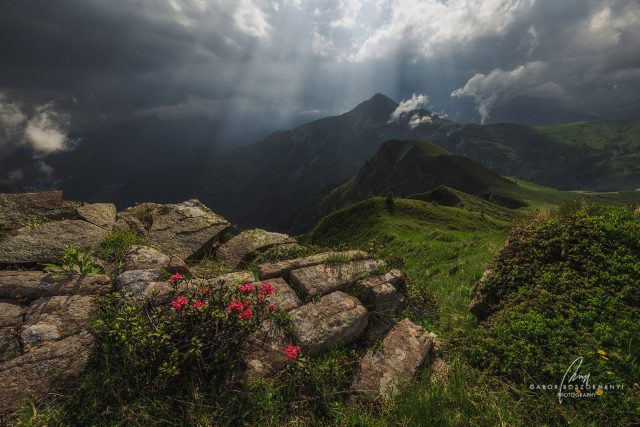 passo_digiau_gaborboszormenyiphotography