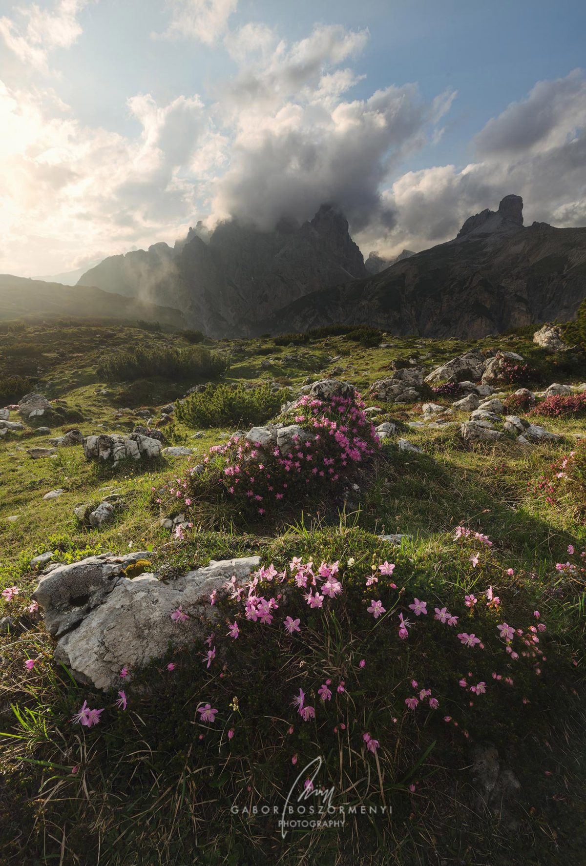 touchoflight_gaborboszormenyiphotography