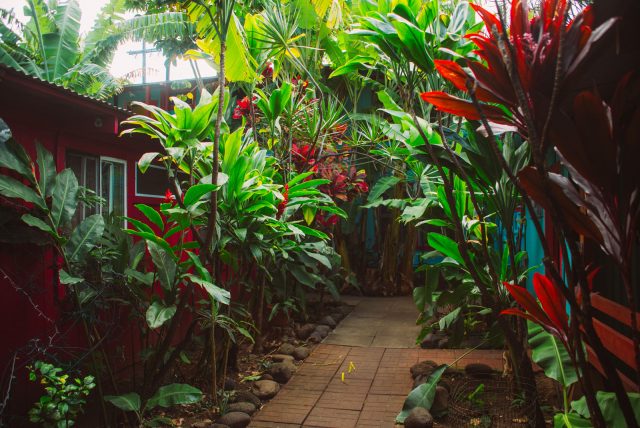 wailuku_maui_hawaii_01