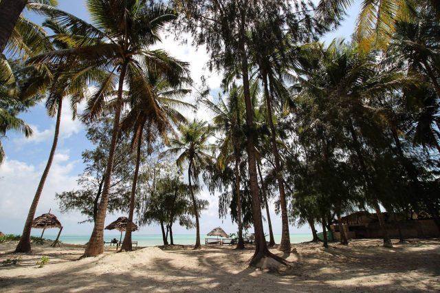zanzibar_afrika_05