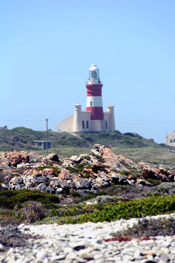 cape_alguhas_del_afrikai_koztarsasag_30