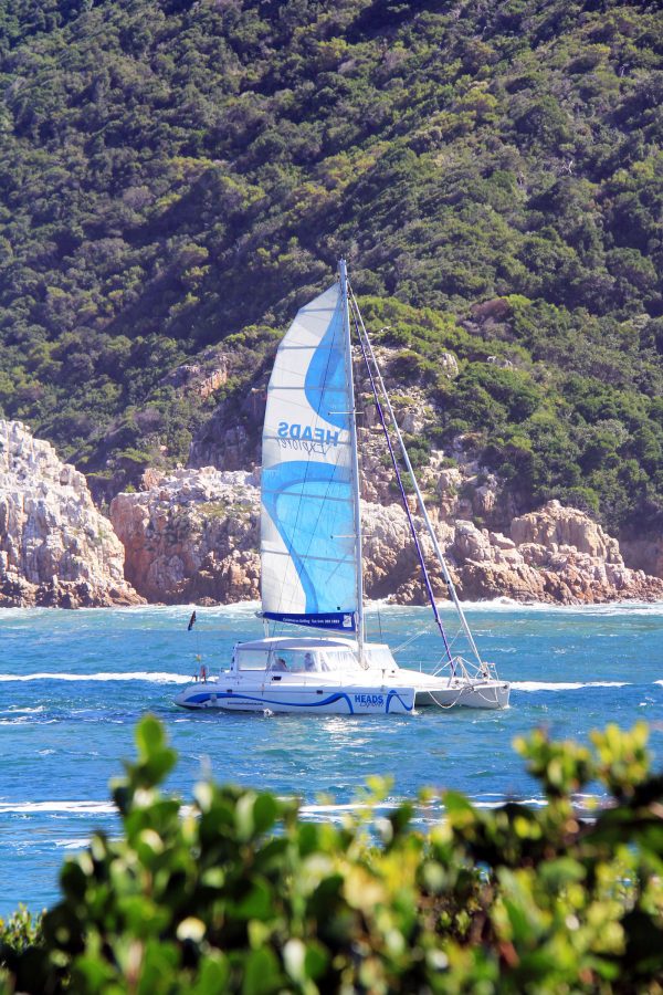 knysna_del_afrikai_koztarsasag_18