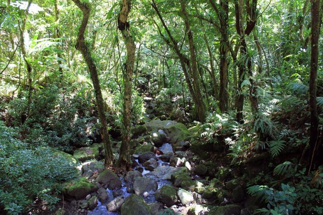 puerto_rico_03