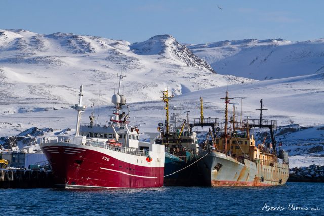 batsfjord_norvegia_01