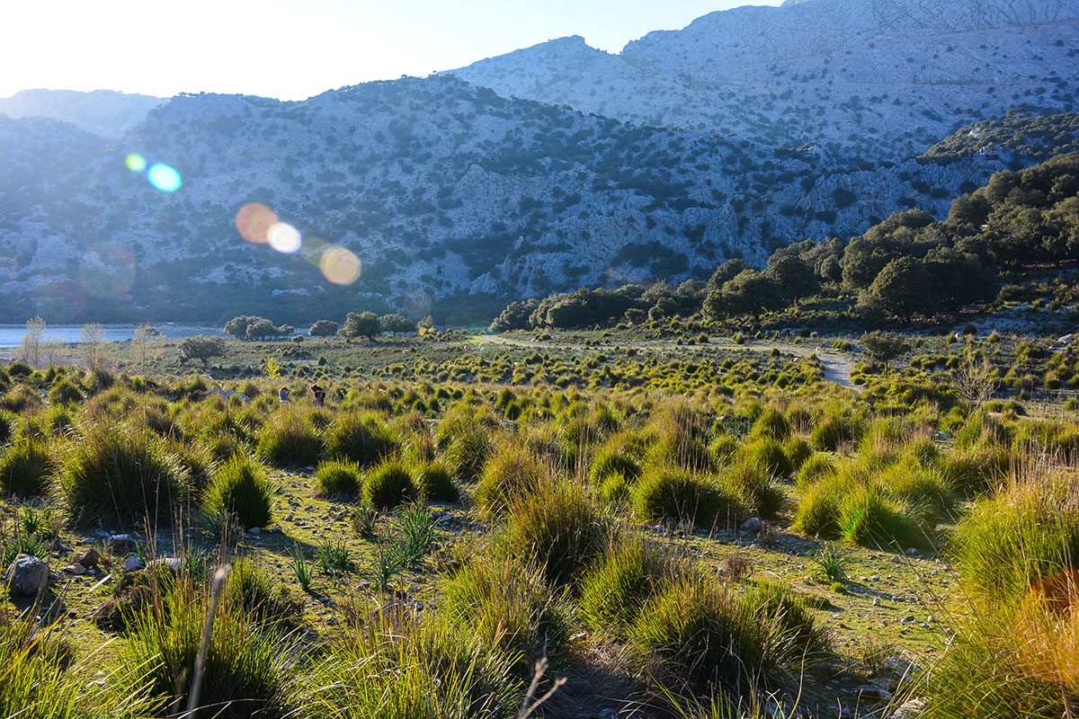 mallorca_tramuntana_05